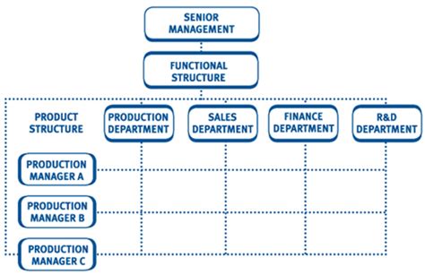 Matrix Organisation - Meaning Features Advantages Limitations