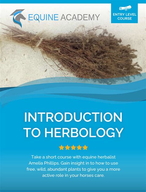 Pharmacy In Your Field - Equine Academy | Online Herbology Courses