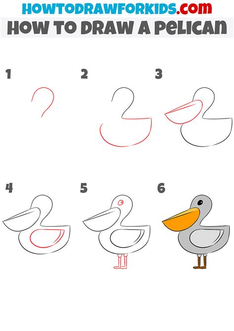 How to Draw a Pelican - Easy Drawing Tutorial For Kids