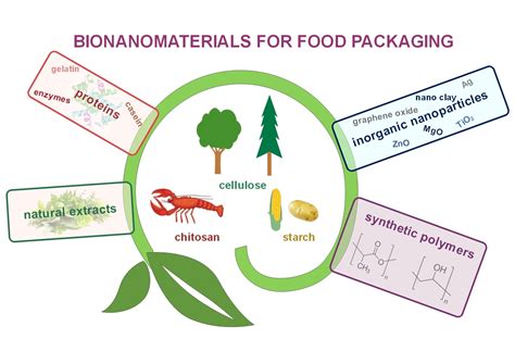 Nanotechnology In Food Products