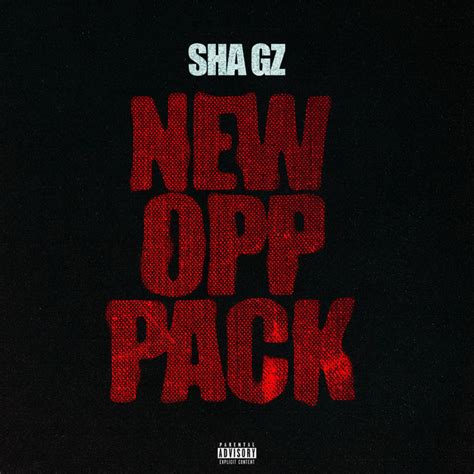 New Opp - song by Sha Gz | Spotify