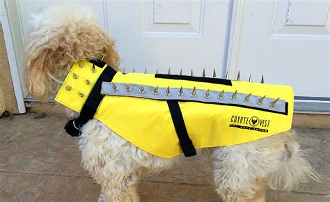 Coyote Zapper Vest Dogs « Inhabitat – Green Design, Innovation, Architecture, Green Building