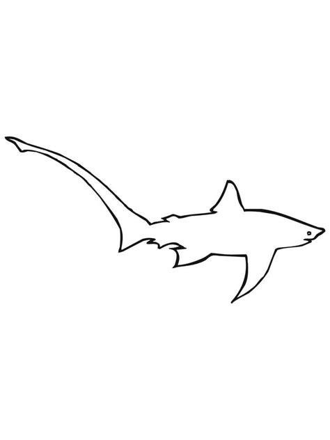 Coloring pages: Thresher shark, printable for kids & adults, free