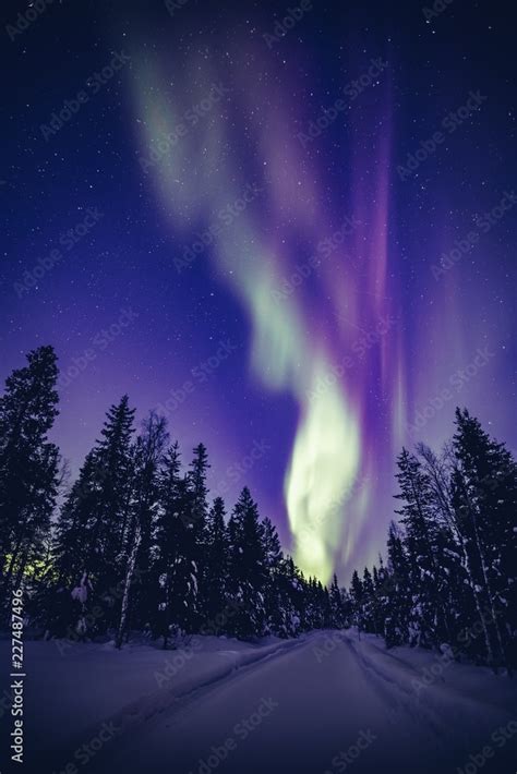 Beautiful Northern Lights (Aurora Borealis) in the night sky over winter Lapland landscape ...