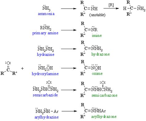 Ch17: C=O + primary amine derivs.