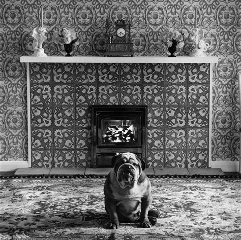 Elliott Erwitt’s Dogs | MONOVISIONS - Black & White Photography Magazine