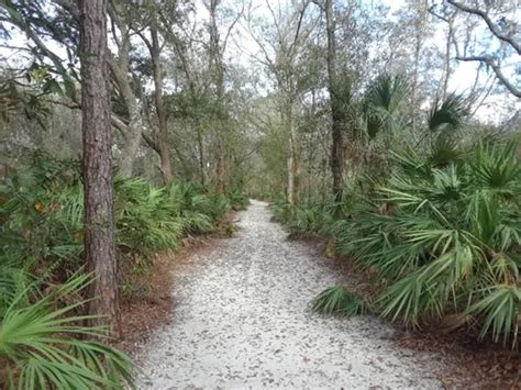 10 Best Trails and Hikes in Clearwater | AllTrails