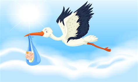 Stork Delivering Baby Boy