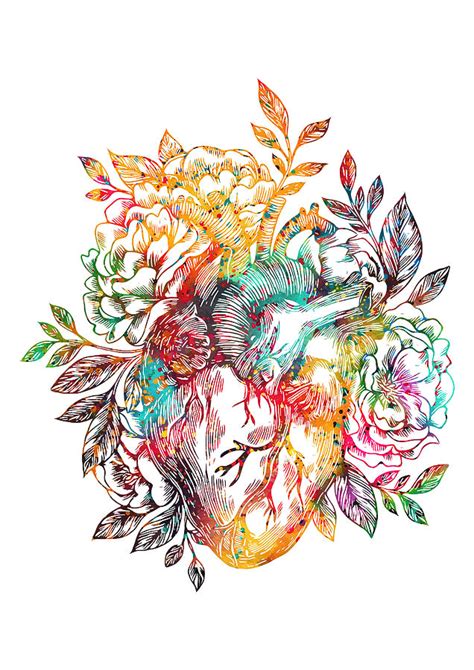 Illustration Digital Art - Anatomical heart with flowers by Erzebet S | Anatomical heart art ...