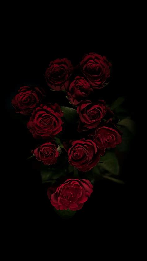 234 Wallpaper Hd Black Rose Pictures - MyWeb