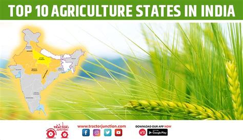 Top 10 Agriculture States in India - Largest Crop Producing States!