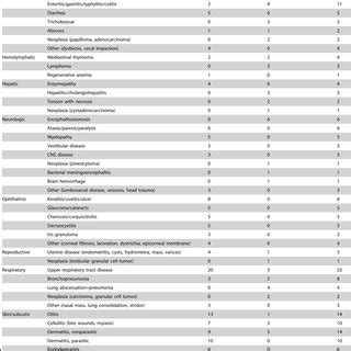 Poikilocytes in blood smears from rabbits. (A) Acanthocytes (arrows) in... | Download Scientific ...