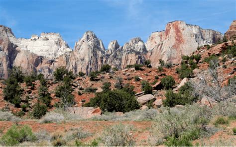 Zion National Park Tours, Tickets, and Activities | musement