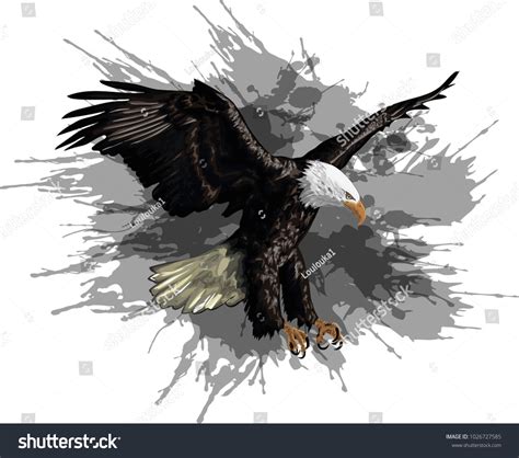 Illustration Bald Eagle Vector Art Stock Vector (Royalty Free ...