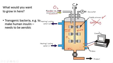 Fermenters and Yoghurt Making for IGCSE Biology - YouTube