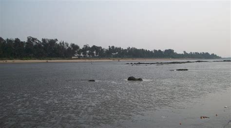 Kihim Beach – Beaches in Alibaug - Placestovisitmaharashtra.com