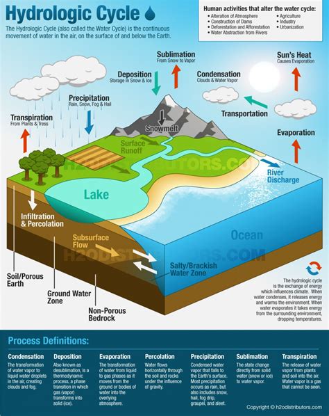 The Water Cycle | Visual.ly | Water cycle, Earth science, Science education