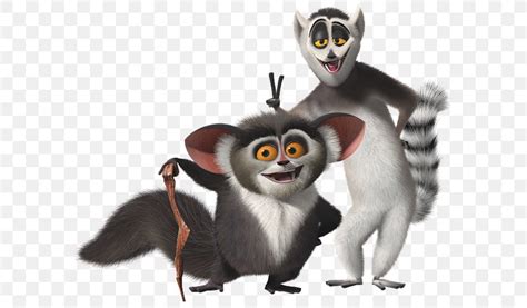 Lemurs Julien Mort Madagascar Ring-tailed Lemur, PNG, 640x480px, Lemurs ...