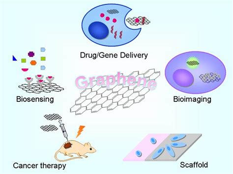 Biomedical Applications of Graphene