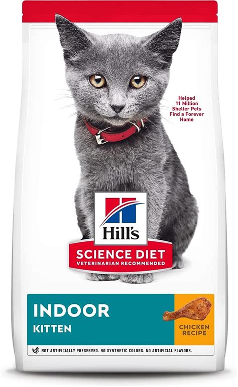 Review: Hill’s Science Diet Dry Cat Food — Nourishing Kittens Inside Out | by Druittjett31 | Medium