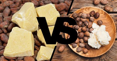 La manteca de cacao versus la manteca de karité: ¿cuál debes elegir para tu piel?