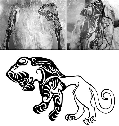 Nrken19 on Twitter: "A tiger tattoo on the shoulder of a Scythian male mummy found in 1949 in ...