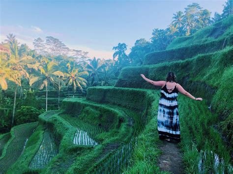 29 Incredible Things to do in Ubud, Bali - Taylor's Tracks