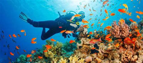 Scuba Diving in Andaman Nicobar Island - Trek alone