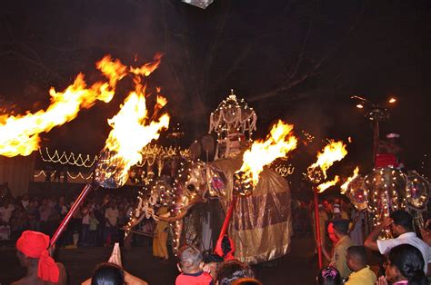 Kandy Esala Perahera 2024 in Sri Lanka - Rove.me