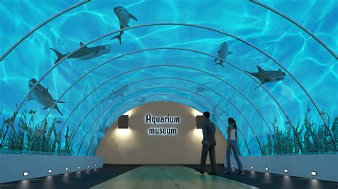 Aquarium museum :: Behance