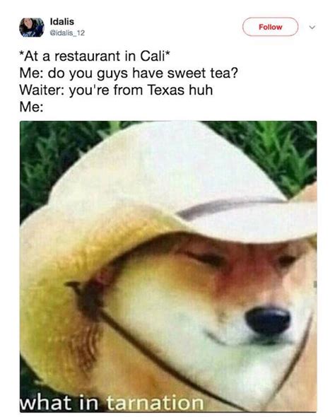 Yeehaw, Texas Memes! (53 pics) - Izismile.com