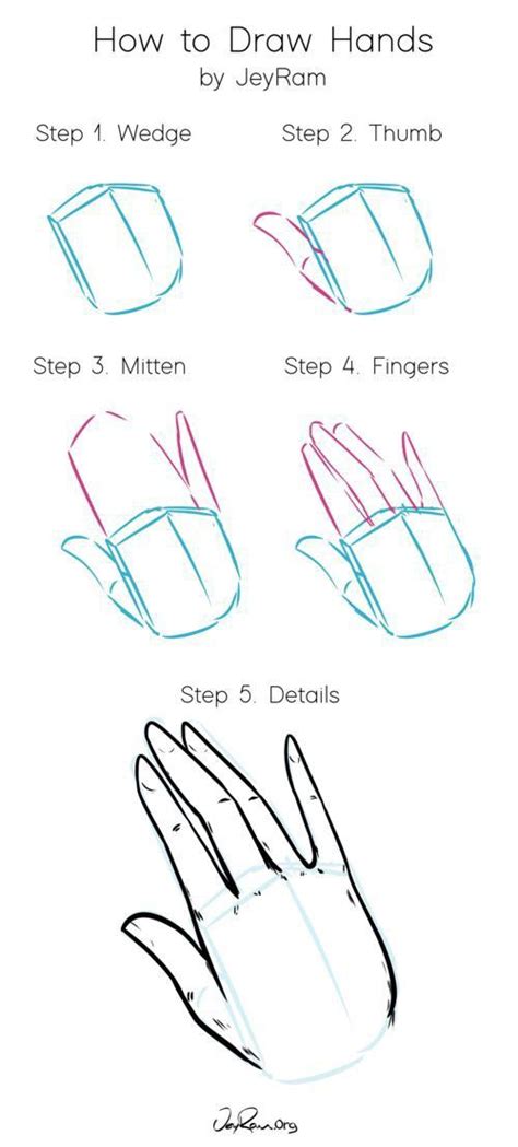 How to Draw a Hand Step by Step With Pencil - Sullivan Scerfumfor