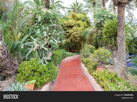 Majorelle Garden Image & Photo (Free Trial) | Bigstock