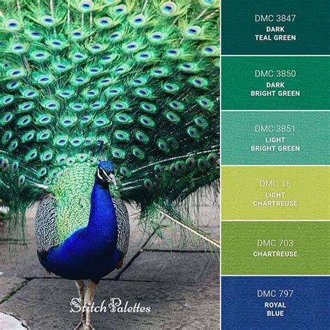 Color Schemes Galore! Resources for Stitching Color | Peacock color scheme, Color schemes, Palette