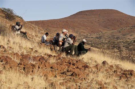 Experience Tracking Desert Black Rhino In Nambia | Art Of Safari