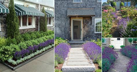 Landscaping with Lavender | 7 Garden Design Ideas