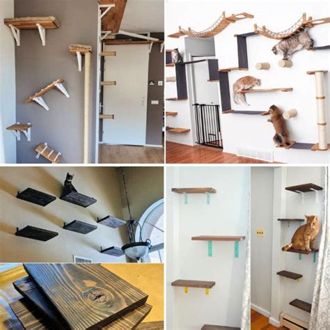 16 Creative DIY Cat Shelves and Cat Wall Ideas - Blitsy