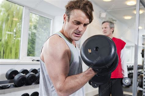 Man lifting weights in gym - Stock Image - F005/8156 - Science Photo Library