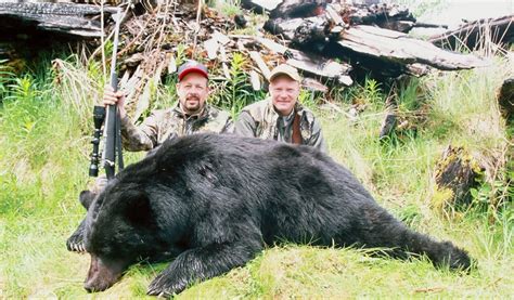 Best Bear Hunting Rifles of 2021 – Ultimate Round-up