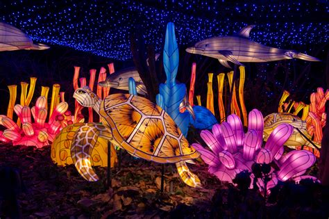 Bronx Zoo holiday lights shine brighter than ever this year | amNewYork