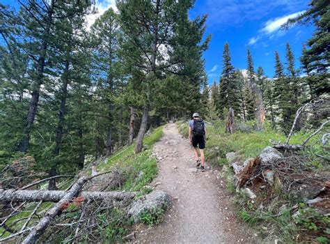 How to Hike Delta Lake in Grand Teton National Park