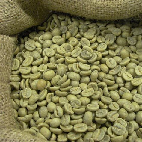 Robusta Coffee Beans Manufacturer in Kerala India by Brahmagiri Wayanad ...