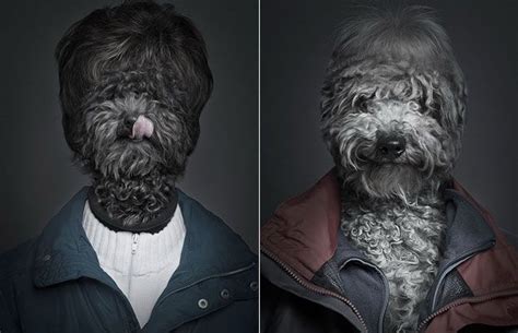 Photographs Of Dogs Dressed In Human Clothes | Humans clothes, Dog ...