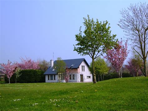 File:House and Garden.jpg - Wikimedia Commons