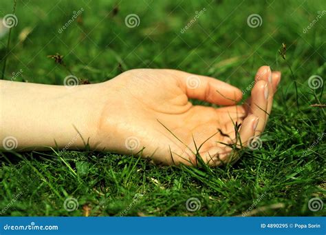 Relaxed Hand Royalty Free Stock Photo - Image: 4890295