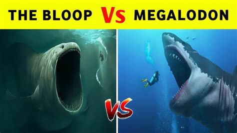 Megalodon Vs Bloop - ( Who Would Win ) - YouTube