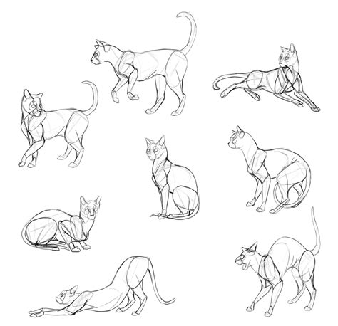 How To Draw A Cat Step By Step For Beginners - Howto Techno