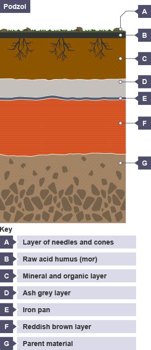 BBC Bitesize - Higher Geography - Properties and formation processes of ...