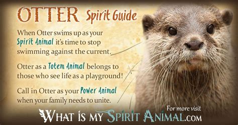 Otter Symbolism & Meaning | Spirit, Totem & Power Animal | Animal totem spirit guides, Power ...