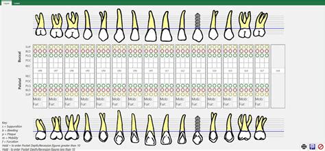 Pearl Dental Software | Charting a Periodontal Assessment